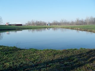 80 Acres with nice mix of tillable and wooded acres.  Only 15 minutes to Richmond, IN.  Northeastern Wayne Schools. 

Current lease on tillable ground through 2012.  - 80 Acre Complete Farm Unit